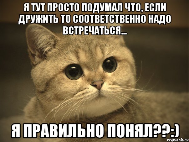 я тут просто подумал что, если дружить то соответственно надо встречаться... я правильно понял??:), Мем Пидрила ебаная котик