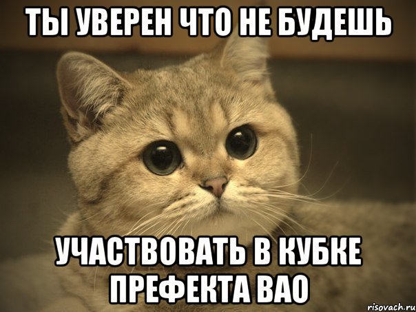 ты уверен что не будешь участвовать в кубке префекта вао, Мем Пидрила ебаная котик