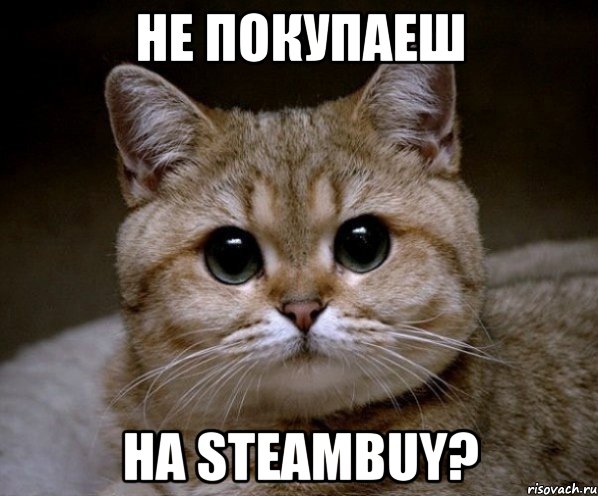 не покупаеш на steambuy?, Мем Пидрила Ебаная