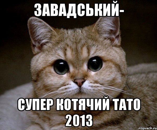 завадський- супер котячий тато 2013, Мем Пидрила Ебаная