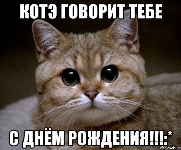 котэ говорит тебе с днём рождения!!!:*, Мем Пидрила Ебаная