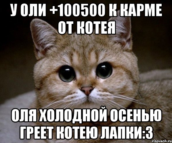 у оли +100500 к карме от котея оля холодной осенью греет котею лапки:3, Мем Пидрила Ебаная