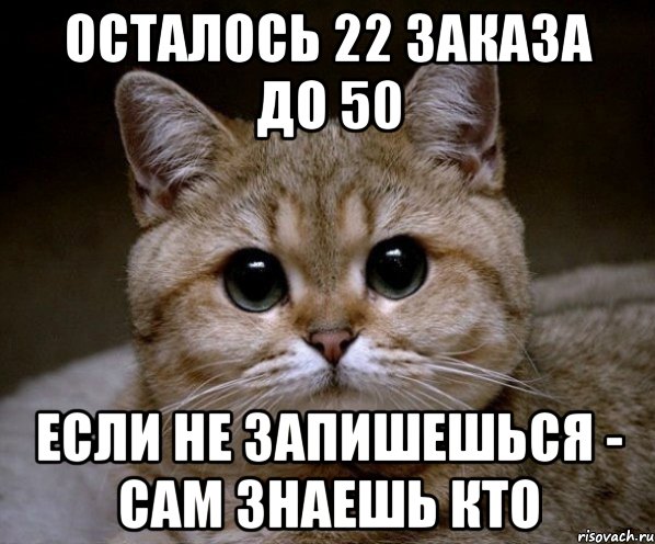 осталось 22 заказа до 50 если не запишешься - сам знаешь кто, Мем Пидрила Ебаная