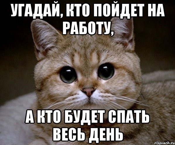 угадай, кто пойдет на работу, а кто будет спать весь день, Мем Пидрила Ебаная