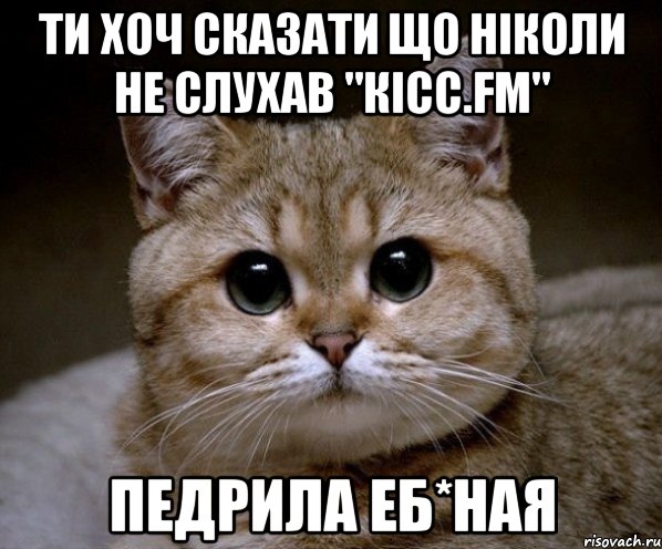 ти хоч сказати що ніколи не слухав "кісс.fm" педрила еб*ная, Мем Пидрила Ебаная