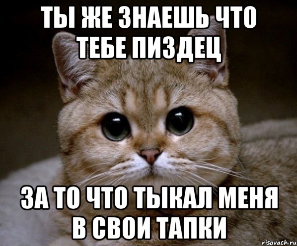 ты же знаешь что тебе пиздец за то что тыкал меня в свои тапки, Мем Пидрила Ебаная