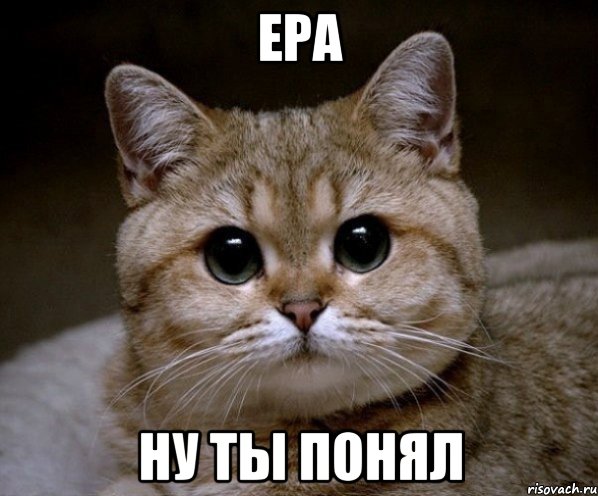 ера ну ты понял, Мем Пидрила Ебаная