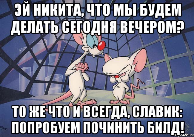 эй никита, что мы будем делать сегодня вечером? то же что и всегда, славик: попробуем починить билд!, Мем ПИНКИ И БРЕЙН