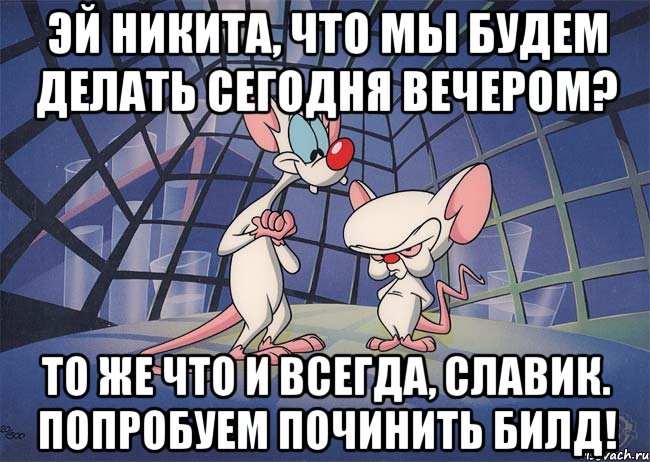 эй никита, что мы будем делать сегодня вечером? то же что и всегда, славик. попробуем починить билд!, Мем ПИНКИ И БРЕЙН