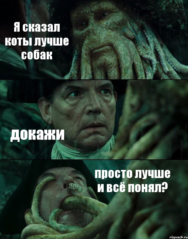 Я сказал коты лучше собак докажи просто лучше и всё понял?, Комикс Пираты Карибского моря