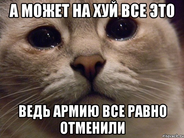 а может на хуй все это ведь армию все равно отменили, Мем   В мире грустит один котик