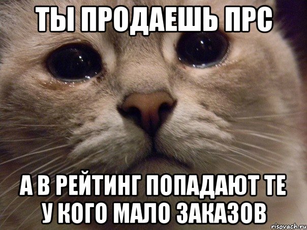 ты продаешь прс а в рейтинг попадают те у кого мало заказов, Мем   В мире грустит один котик