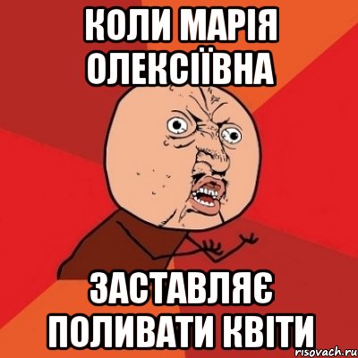 коли марія олексіївна заставляє поливати квіти, Мем Почему