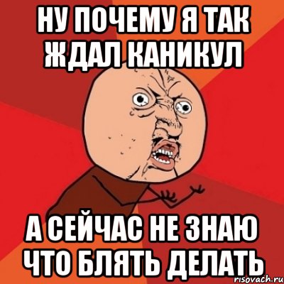 ну почему я так ждал каникул а сейчас не знаю что блять делать, Мем Почему