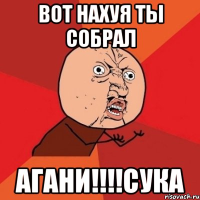 вот нахуя ты собрал агани!!!сука, Мем Почему