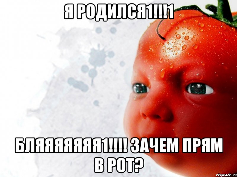 я родился1!!!1 бляяяяяяя1!!! зачем прям в рот?, Мем Помидор