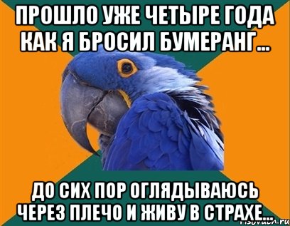 прошло уже четыре года как я бросил бумеранг... до сих пор оглядываюсь через плечо и живу в страхе..., Мем Попугай параноик