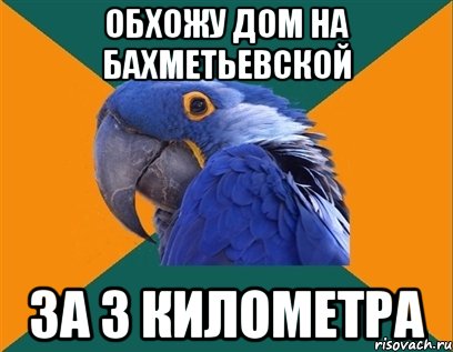 обхожу дом на бахметьевской за 3 километра, Мем Попугай параноик