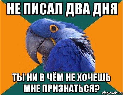 не писал два дня ты ни в чём не хочешь мне признаться?, Мем Попугай параноик