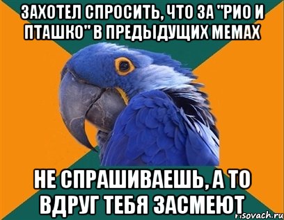 захотел спросить, что за "рио и пташко" в предыдущих мемах не спрашиваешь, а то вдруг тебя засмеют, Мем Попугай параноик