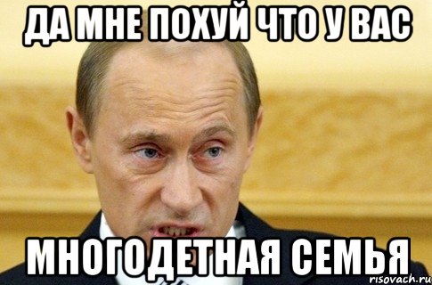 да мне похуй что у вас многодетная семья, Мем путин