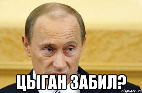  цыган забил?, Мем путин