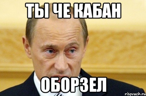 ты че кабан оборзел, Мем путин