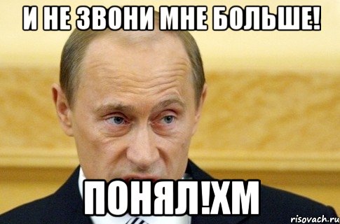 и не звони мне больше! понял!хм, Мем путин