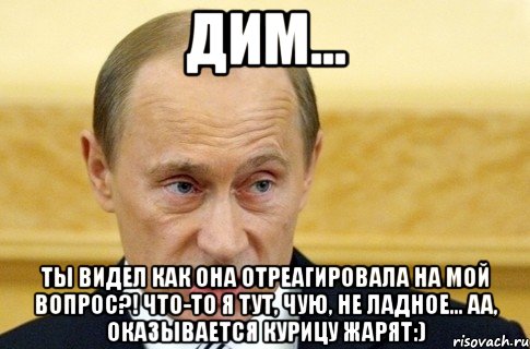 дим... ты видел как она отреагировала на мой вопрос?! что-то я тут, чую, не ладное... аа, оказывается курицу жарят:), Мем путин