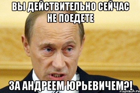 вы действительно сейчас не поедете за андреем юрьевичем?!, Мем путин