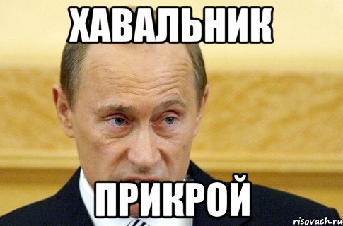 хавальник прикрой, Мем путин