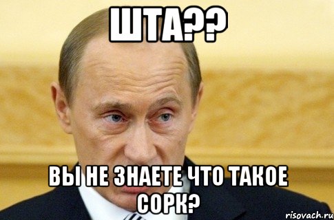 шта?? вы не знаете что такое сорк?, Мем путин