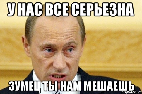 у нас все серьезна зумец ты нам мешаешь, Мем путин