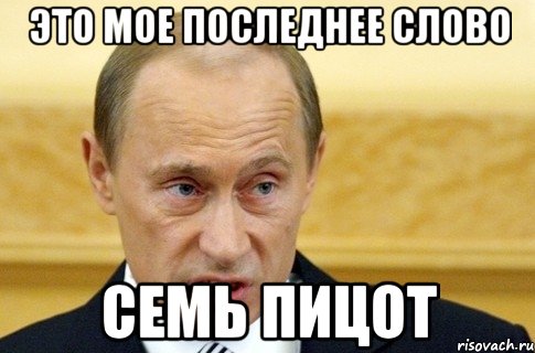 это мое последнее слово семь пицот, Мем путин