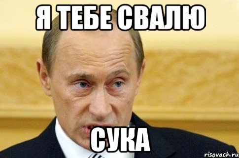 я тебе свалю сука, Мем путин