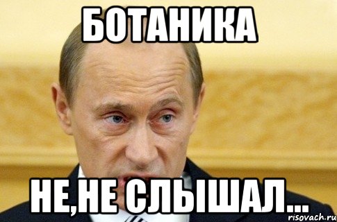 ботаника не,не слышал..., Мем путин