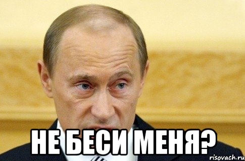  не беси меня?, Мем путин