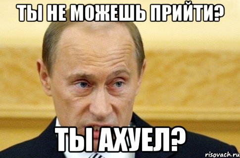 ты не можешь прийти? ты ахуел?, Мем путин