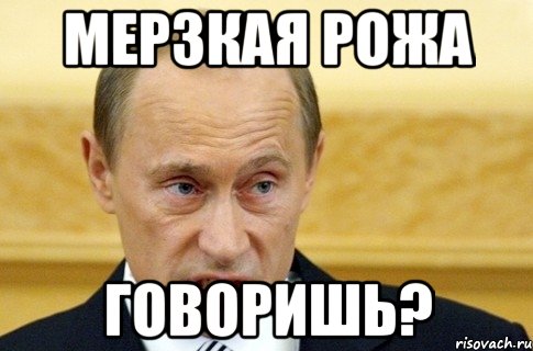 мерзкая рожа говоришь?, Мем путин