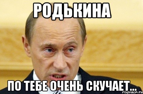 родькина по тебе очень скучает..., Мем путин