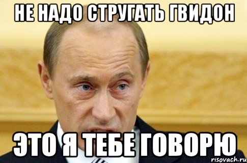 не надо стругать гвидон это я тебе говорю, Мем путин