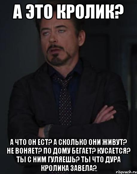 а это кролик? а что он ест? а сколько они живут? не воняет? по дому бегает? кусается? ты с ним гуляешь? ты что дура кролика завела?, Мем твое выражение лица