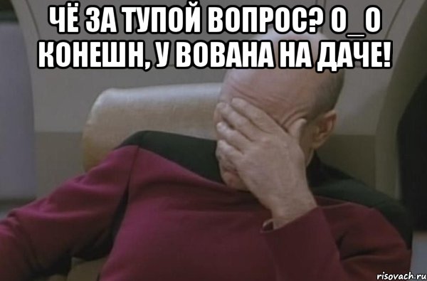 чё за тупой вопрос? o_o конешн, у вована на даче! , Мем  Рукалицо