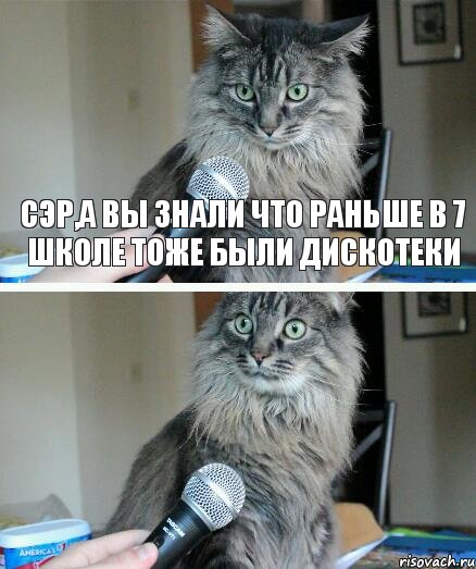 сэр,а вы знали что раньше в 7 школе тоже были дискотеки, Комикс  кот с микрофоном