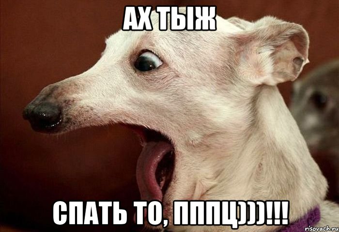 ах тыж спать то, пппц)))!!!, Мем  собака