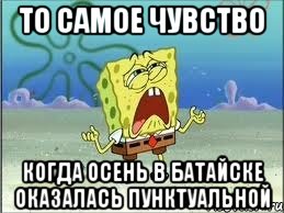 то самое чувство когда осень в батайске оказалась пунктуальной, Мем Спанч Боб плачет