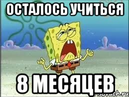 осталось учиться 8 месяцев, Мем Спанч Боб плачет