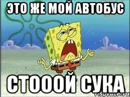 это же мой автобус стооой сука, Мем Спанч Боб плачет