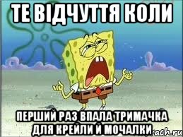 те відчуття коли перший раз впала тримачка для крейли й мочалки, Мем Спанч Боб плачет