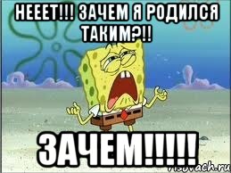 нееет!!! зачем я родился таким?!! зачем!!!, Мем Спанч Боб плачет